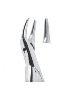 Extracting Forceps
